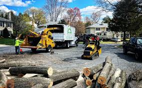 Leaf Removal in Kings Park, VA